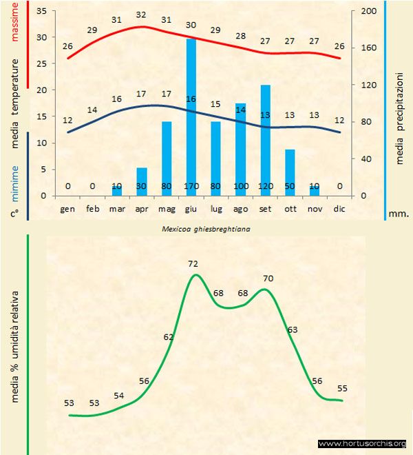 Mexicoa ghisbreghtiana b gr it