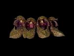 Read more: Bulbophyllum frostii